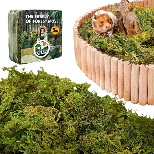Duspro 5oz Hamster Bedding Natural Forest Moss Bedding for Hamster Hamster Bedding Odor Control Decorate Hamster Hideout with Moss.